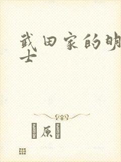 武田家的明国武士封面