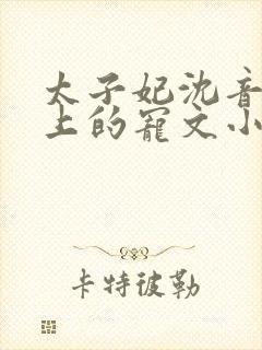 太子妃沈音和皇上的宠文小说