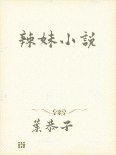 辣妹小说