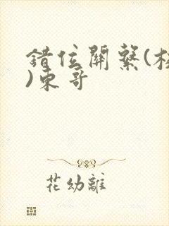 错位关系(校园)东哥