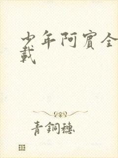 少年阿宾全集下载