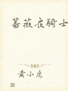 蔷薇夜骑士