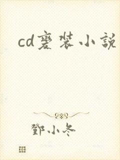 cd变装小说封面