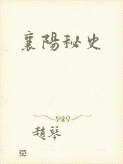 襄阳秘史