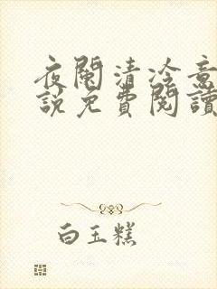 夜阑清冷意欢小说免费阅读