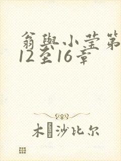 翁与小莹第十部12至16章封面