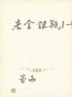 老金银瓶1-5封面