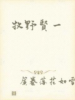书籍封面