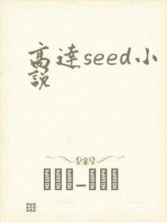 高达seed小说