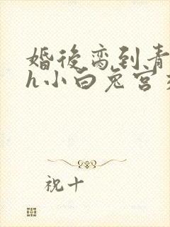 婚后脔到青梅哭h小白兔宫交h封面