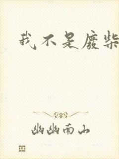我不是废柴