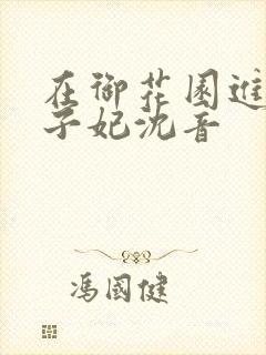在御花园进入太子妃沈音