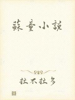 苏童小说
