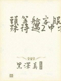 头等舱客服的特殊待遇2中字