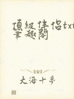 顶级伴侣txt笔趣阁