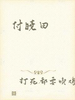 付晓田