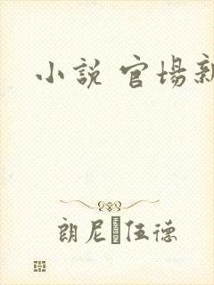 小说 官场新贵
