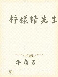 柠檬精先生