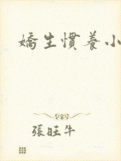 娇生惯养小说