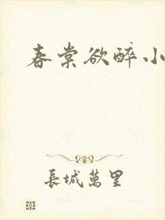 春棠欲醉小说