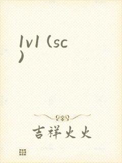 1v1 (sc)