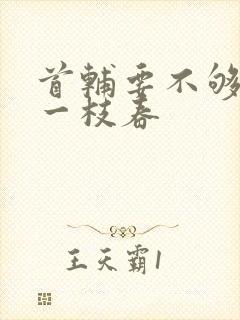 首辅要不够po一枝春