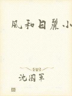 风和日丽小说