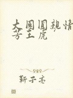 大团圆亲情会王芳王虎封面