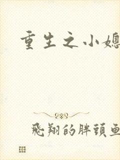 重生之小媳妇封面