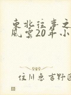 东北往事之黑道风云20年小说