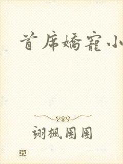 首席娇宠小情人