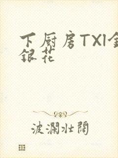 下厨房TXl金银花