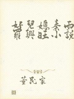好儿媳秦雨罗明罗兴旺小说