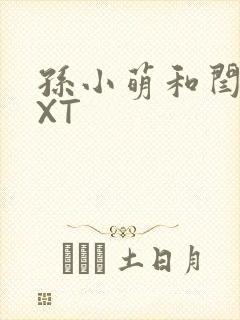 孙小萌和闫辰TXT封面