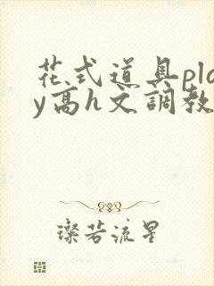 花式道具play高h文调教