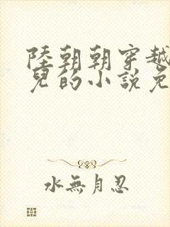 陆朝朝穿越成婴儿的小说免费阅读全文