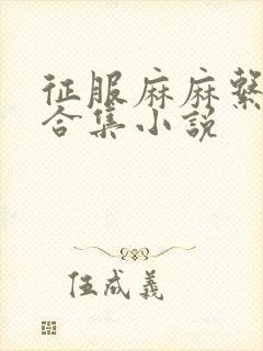 征服麻麻系列大合集小说