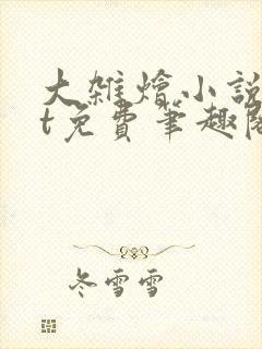 大杂烩小说txt免费笔趣阁