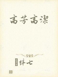 高芳高洁封面