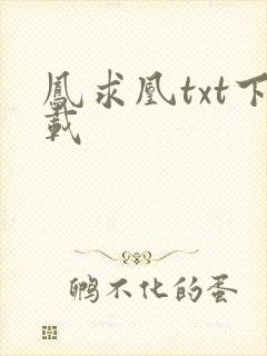 凤求凰txt下载