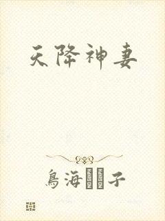 天降神妻封面