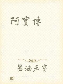阿宾传封面