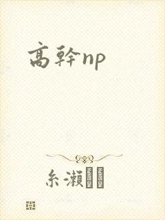 高干np