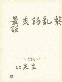 最爽的乱系列小说