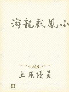 游龙戏凤小说