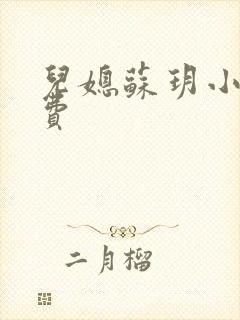 儿媳苏玥小说免费