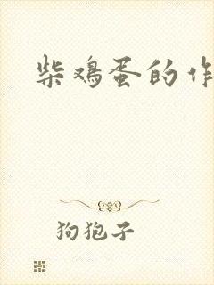 柴鸡蛋的作品