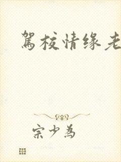 驾校情缘老赵