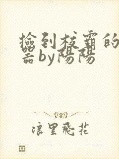 捡到校霸的遥控器by阳阳