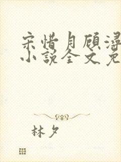 宋惜月顾浔渊的小说全文免费阅读封面